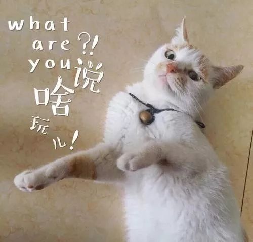 傲馬網(wǎng)絡技術有限公司