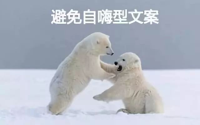 傲馬網(wǎng)絡技術有限公司